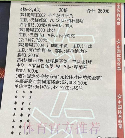 世界杯竞彩攻略：深度解析彩票中奖概率与技巧